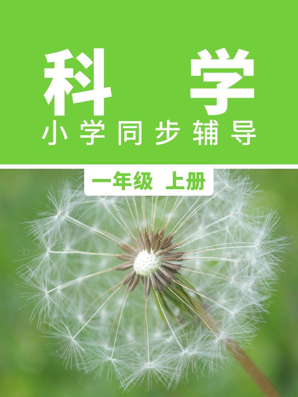 科学小学同步辅导一年级上册