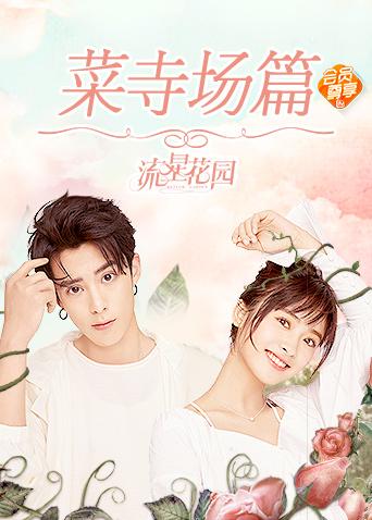 秋霞论理免费视频