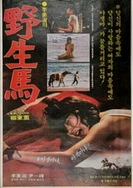 97人妻精彩视频